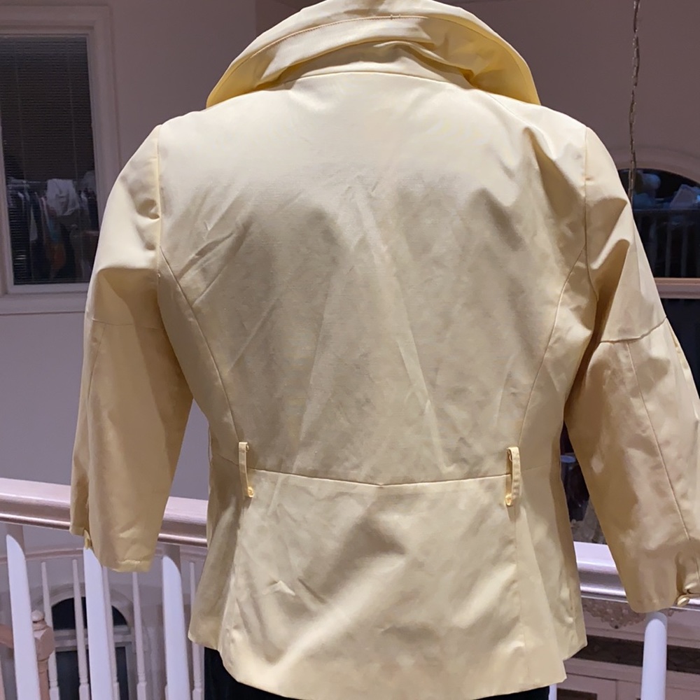 Yellow jacket 🐝 - Picture 7 of 8